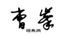 朱錫榮曹峰草書個性簽名怎么寫