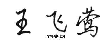 駱恆光王飛鶯行書個性簽名怎么寫
