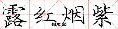 龐中華露紅煙紫楷書怎么寫