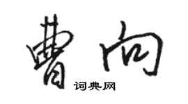 駱恆光曹向行書個性簽名怎么寫