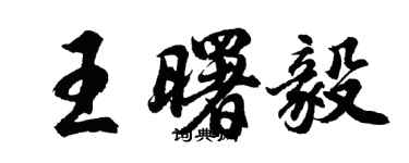 胡問遂王曙毅行書個性簽名怎么寫
