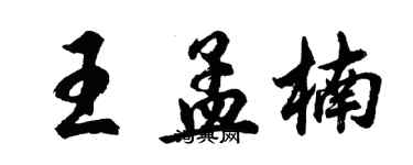 胡問遂王孟楠行書個性簽名怎么寫