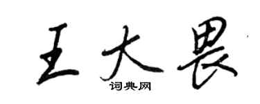 王正良王大畏行書個性簽名怎么寫