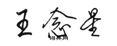 駱恆光王念星行書個性簽名怎么寫