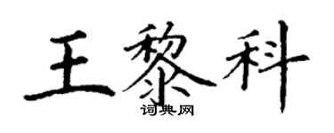 丁謙王黎科楷書個性簽名怎么寫