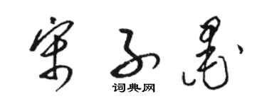 駱恆光宋子墨草書個性簽名怎么寫