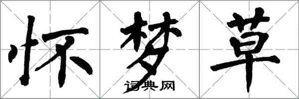 翁闓運懷夢草楷書怎么寫