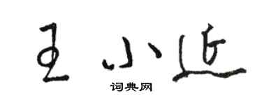 駱恆光王小延草書個性簽名怎么寫