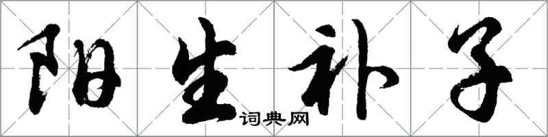 胡問遂陽生補子行書怎么寫