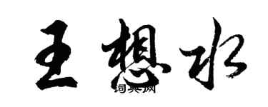 胡問遂王想水行書個性簽名怎么寫