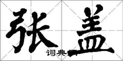 翁闓運張蓋楷書怎么寫