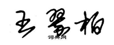 朱錫榮王翠柏草書個性簽名怎么寫