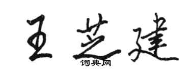 駱恆光王芝建行書個性簽名怎么寫