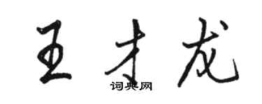 駱恆光王才龍行書個性簽名怎么寫