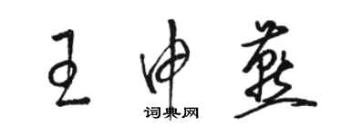 駱恆光王申燕草書個性簽名怎么寫