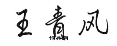 駱恆光王青風行書個性簽名怎么寫