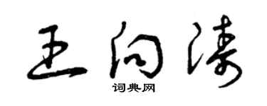 曾慶福王向濤草書個性簽名怎么寫