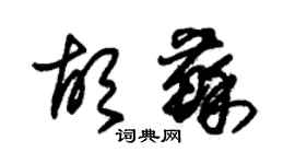 朱錫榮胡蘇草書個性簽名怎么寫