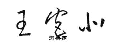 駱恆光王宮北草書個性簽名怎么寫