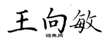 丁謙王向敏楷書個性簽名怎么寫
