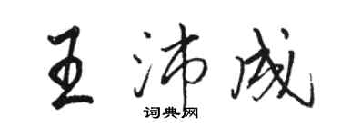 駱恆光王沛成行書個性簽名怎么寫