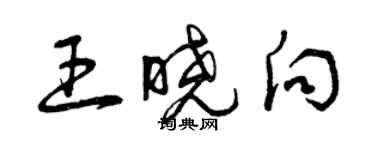 曾慶福王曉向草書個性簽名怎么寫