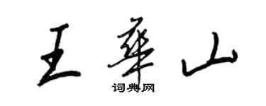 王正良王華山行書個性簽名怎么寫
