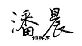 曾慶福潘晨行書個性簽名怎么寫