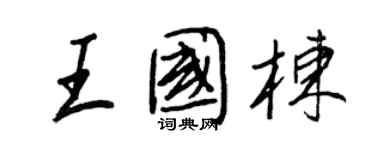 王正良王國棟行書個性簽名怎么寫