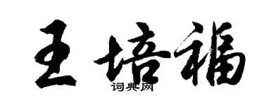 胡問遂王培福行書個性簽名怎么寫