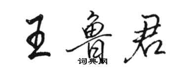 駱恆光王魯君行書個性簽名怎么寫