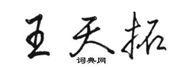 駱恆光王天拓行書個性簽名怎么寫