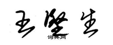 朱錫榮王堅生草書個性簽名怎么寫