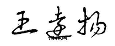 曾慶福王遠揚草書個性簽名怎么寫