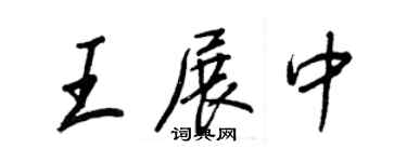 王正良王展中行書個性簽名怎么寫