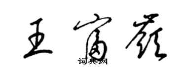 梁錦英王富嶺草書個性簽名怎么寫