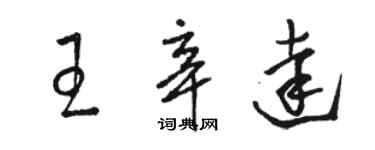 駱恆光王辛達草書個性簽名怎么寫