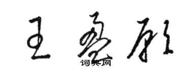 駱恆光王盈願草書個性簽名怎么寫