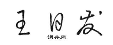 駱恆光王日發草書個性簽名怎么寫