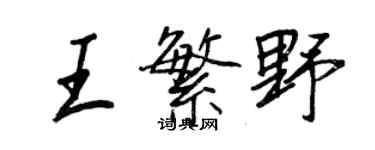 王正良王繁野行書個性簽名怎么寫