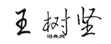 駱恆光王樹堅行書個性簽名怎么寫