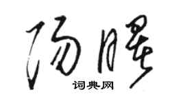 駱恆光陽曙草書個性簽名怎么寫
