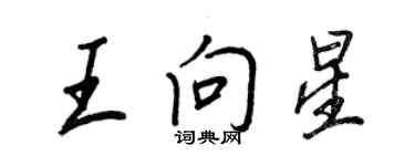 王正良王向星行書個性簽名怎么寫