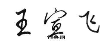 駱恆光王宣飛行書個性簽名怎么寫