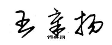 朱錫榮王章揚草書個性簽名怎么寫