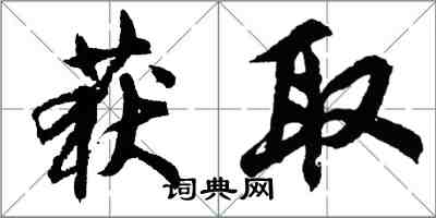 胡問遂獲取行書怎么寫