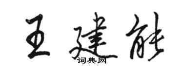 駱恆光王建能行書個性簽名怎么寫