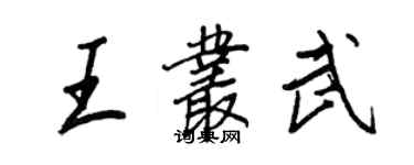 王正良王叢武行書個性簽名怎么寫
