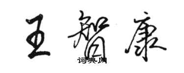 駱恆光王智康行書個性簽名怎么寫