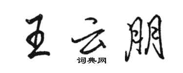 駱恆光王雲朋行書個性簽名怎么寫